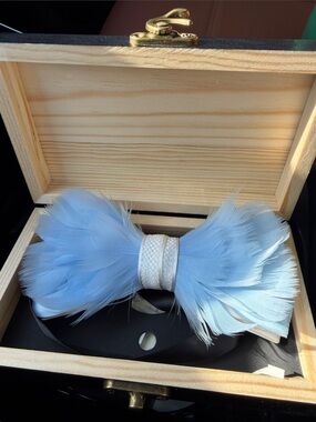 NWOT Men’s Jack & Miles THE SKYLAR - FEATHER BOW TIE
